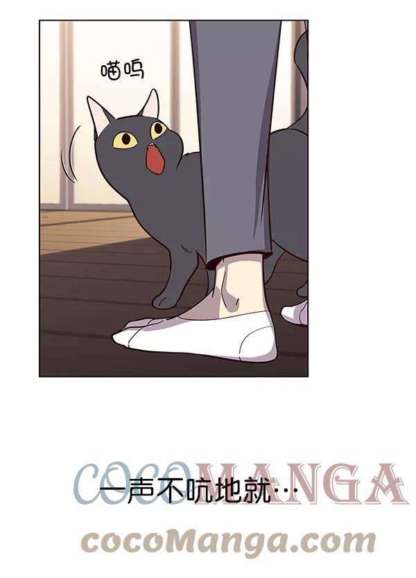 觉醒吧，铲屎官！9话