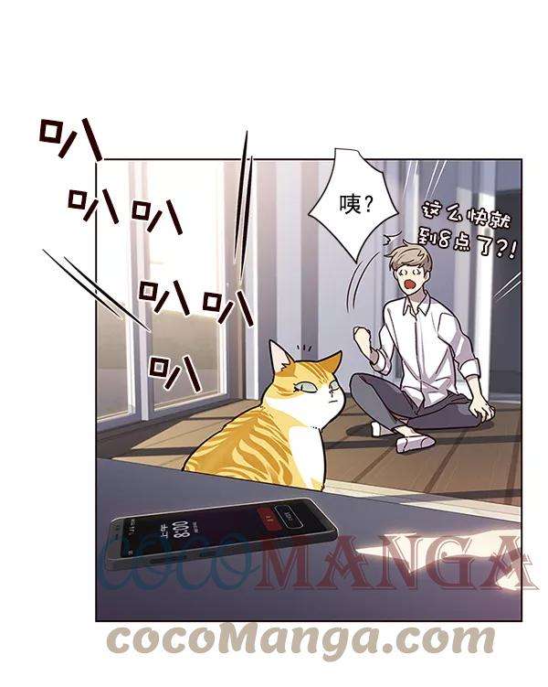 觉醒吧，铲屎官！9话