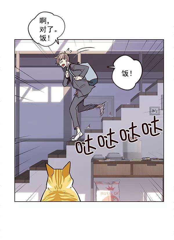 觉醒吧，铲屎官！9话