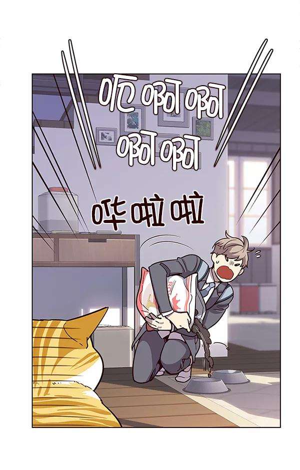 觉醒吧，铲屎官！9话