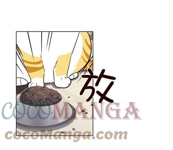 觉醒吧，铲屎官！9话