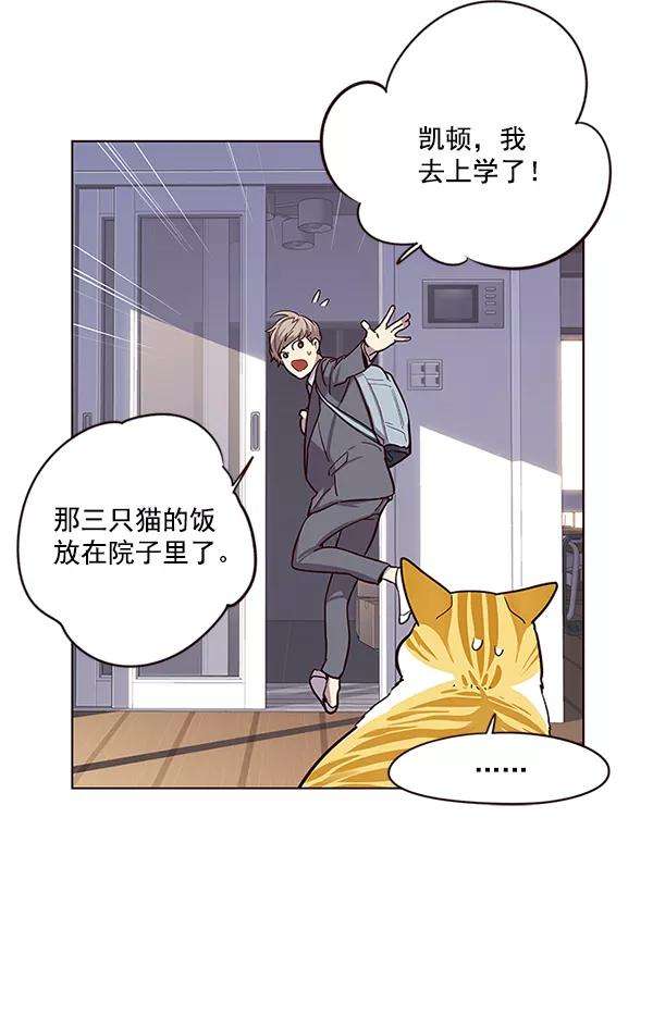 觉醒吧，铲屎官！9话