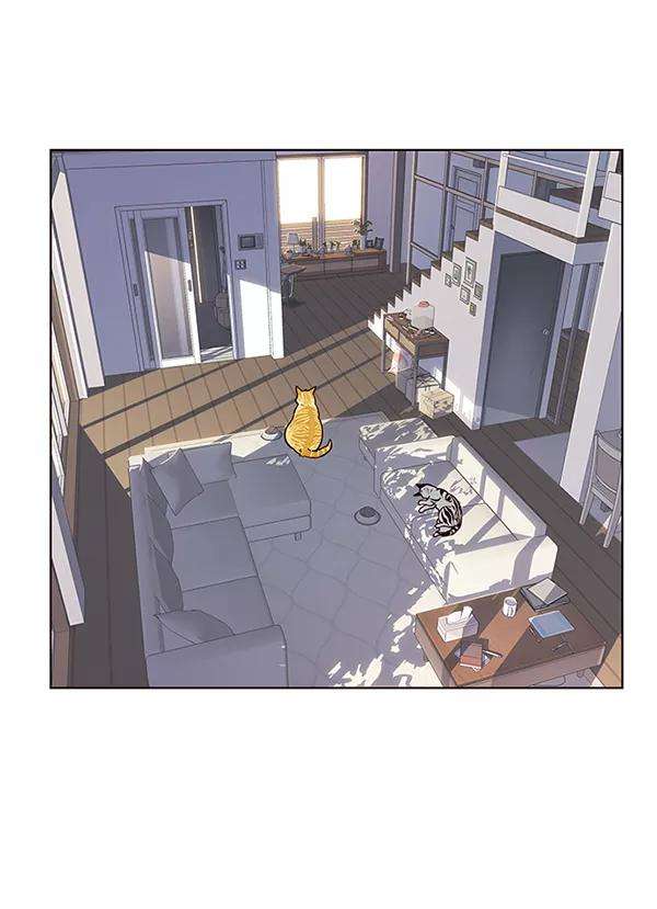 觉醒吧，铲屎官！9话