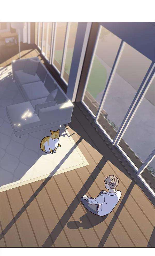 觉醒吧，铲屎官！9话