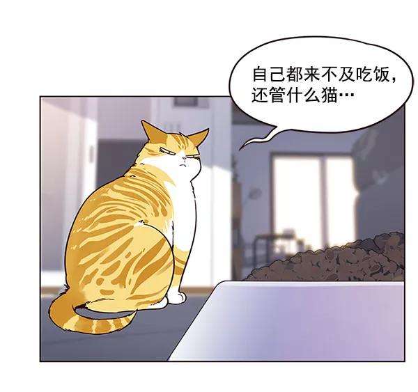 觉醒吧，铲屎官！9话