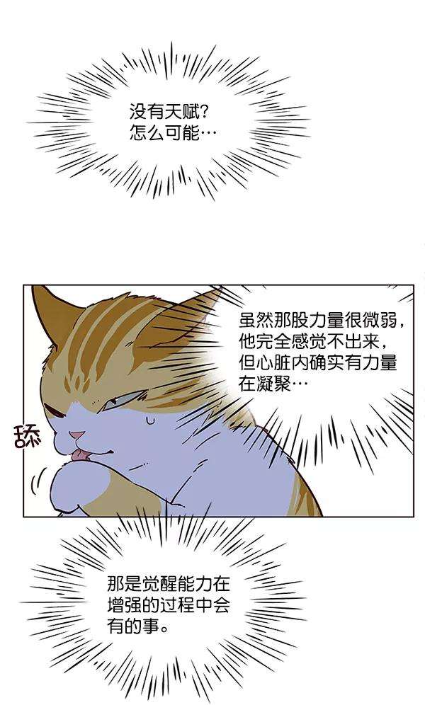 觉醒吧，铲屎官！9话