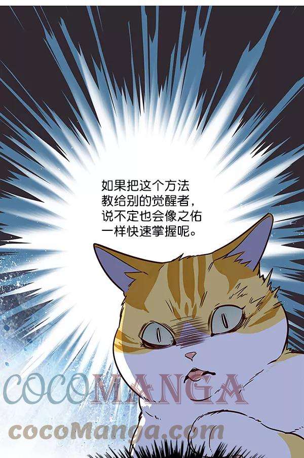 觉醒吧，铲屎官！9话