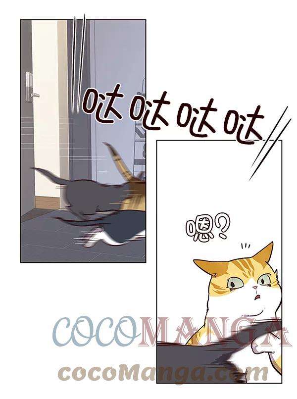 觉醒吧，铲屎官！9话