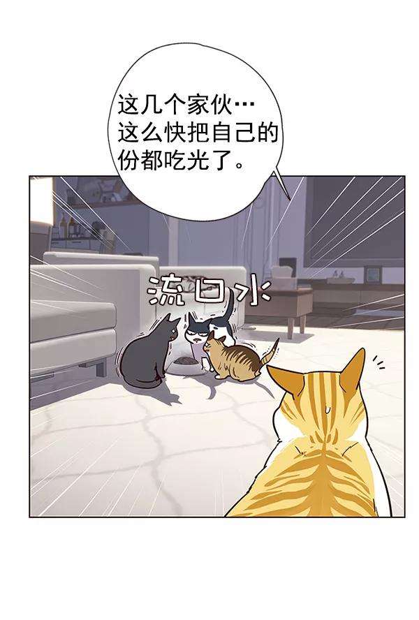 觉醒吧，铲屎官！9话