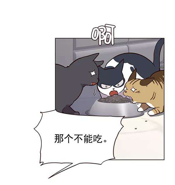 觉醒吧，铲屎官！9话