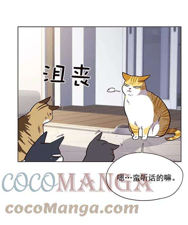 觉醒吧，铲屎官！9话