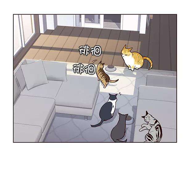 觉醒吧，铲屎官！9话