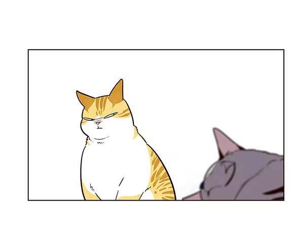 觉醒吧，铲屎官！9话