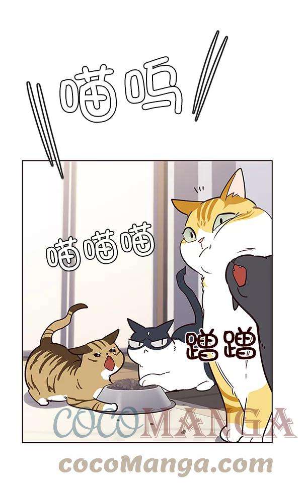 觉醒吧，铲屎官！9话