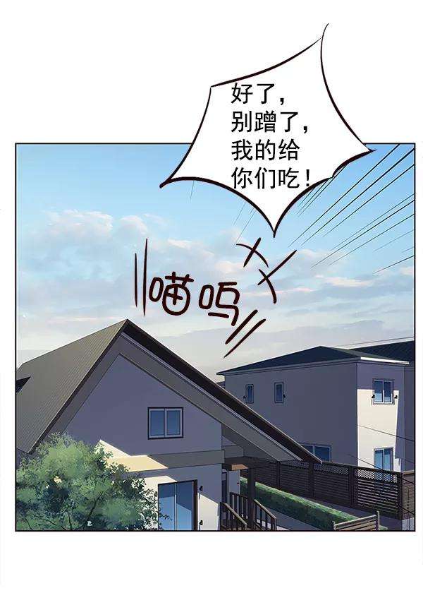 觉醒吧，铲屎官！9话