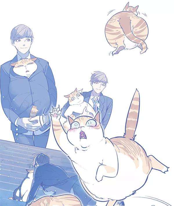 觉醒吧，铲屎官！9话