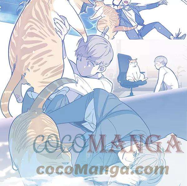 觉醒吧，铲屎官！9话