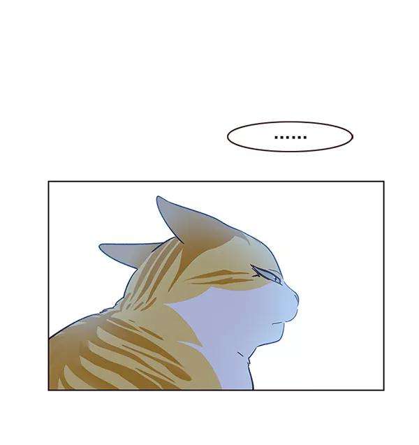 觉醒吧，铲屎官！9话