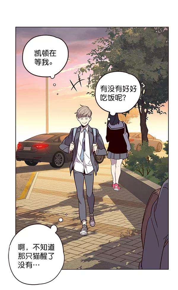 觉醒吧，铲屎官！9话