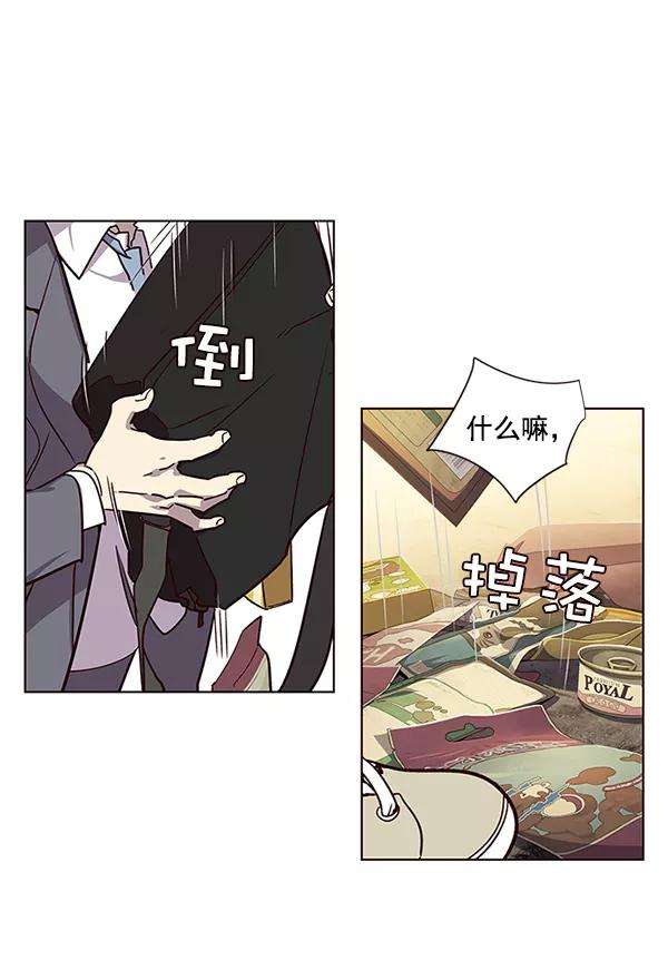 觉醒吧，铲屎官！9话