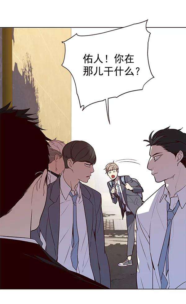 觉醒吧，铲屎官！9话