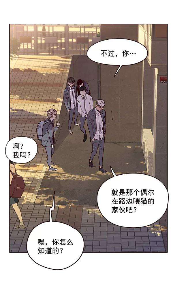 觉醒吧，铲屎官！9话