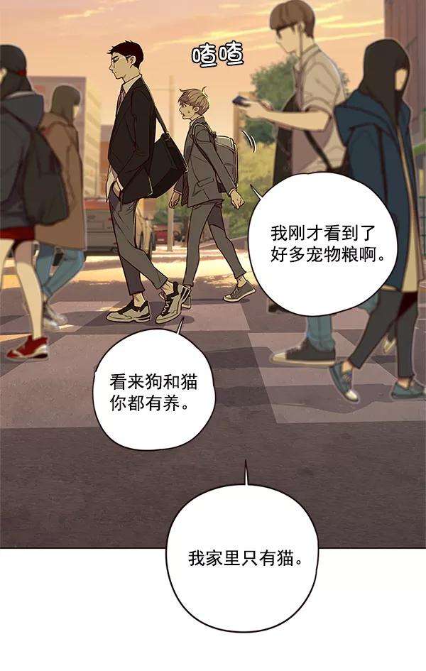 觉醒吧，铲屎官！9话