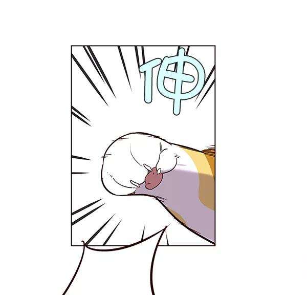 觉醒吧，铲屎官！10话