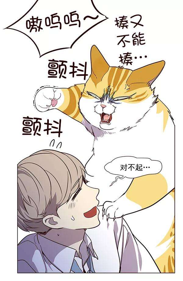 觉醒吧，铲屎官！10话
