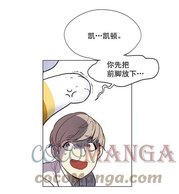 觉醒吧，铲屎官！10话
