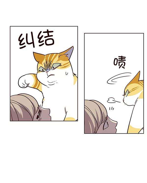 觉醒吧，铲屎官！10话