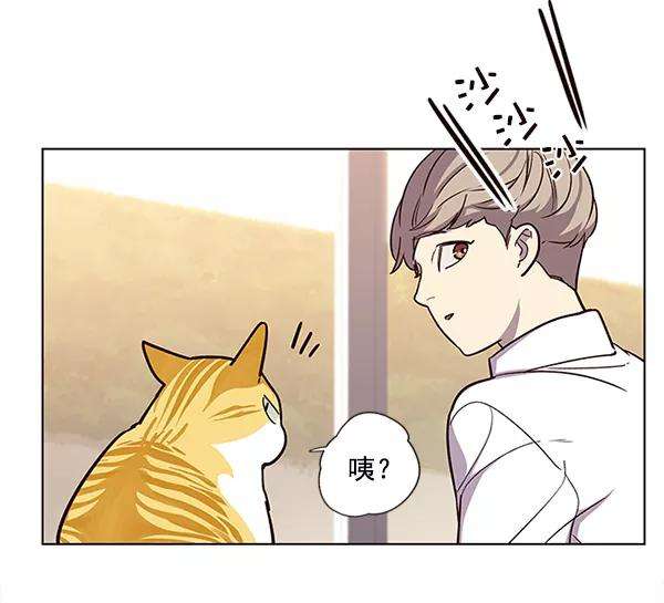 觉醒吧，铲屎官！10话