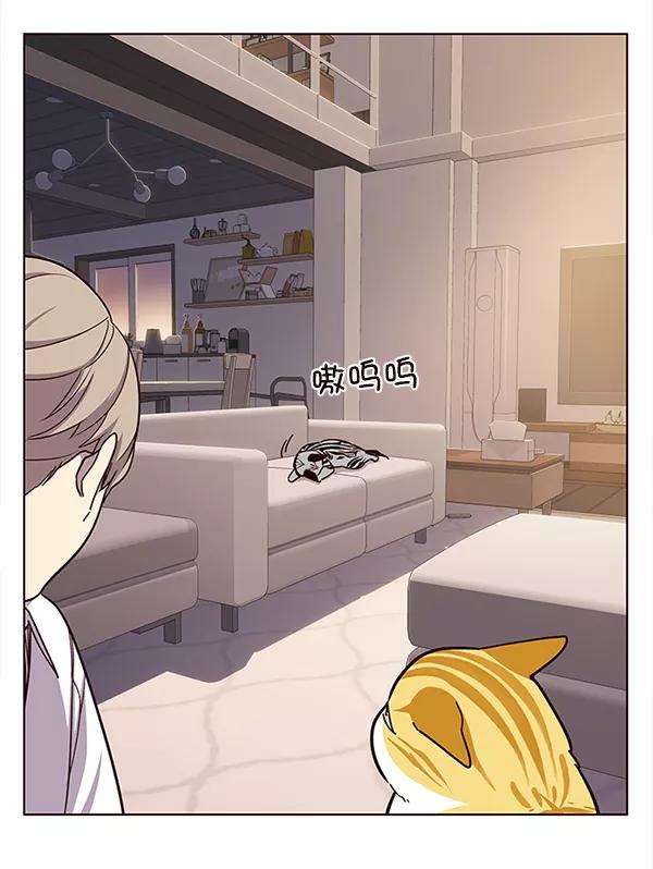觉醒吧，铲屎官！10话