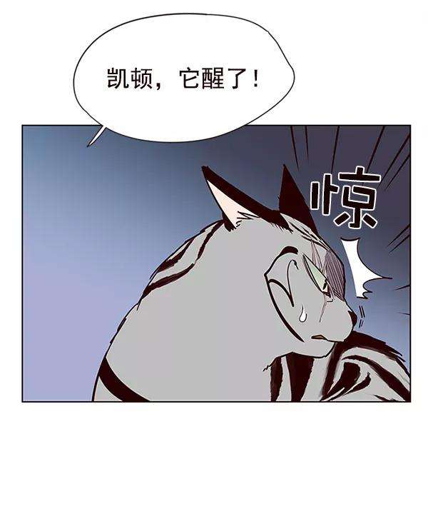 觉醒吧，铲屎官！10话