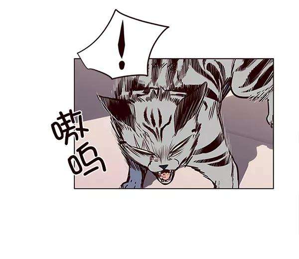 觉醒吧，铲屎官！10话