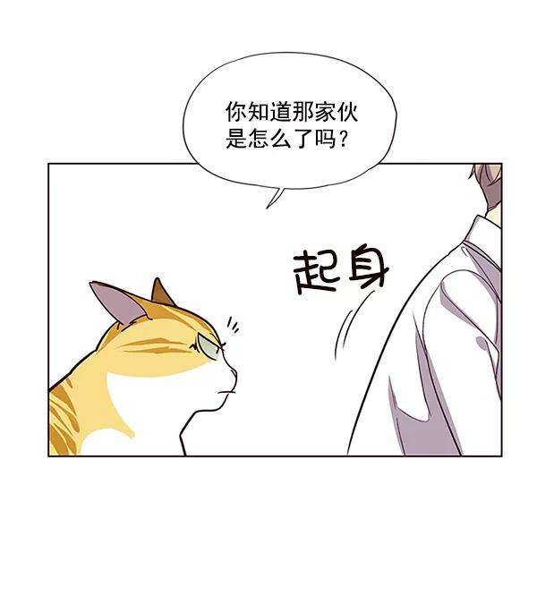 觉醒吧，铲屎官！10话