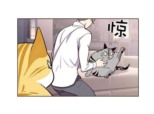 觉醒吧，铲屎官！10话