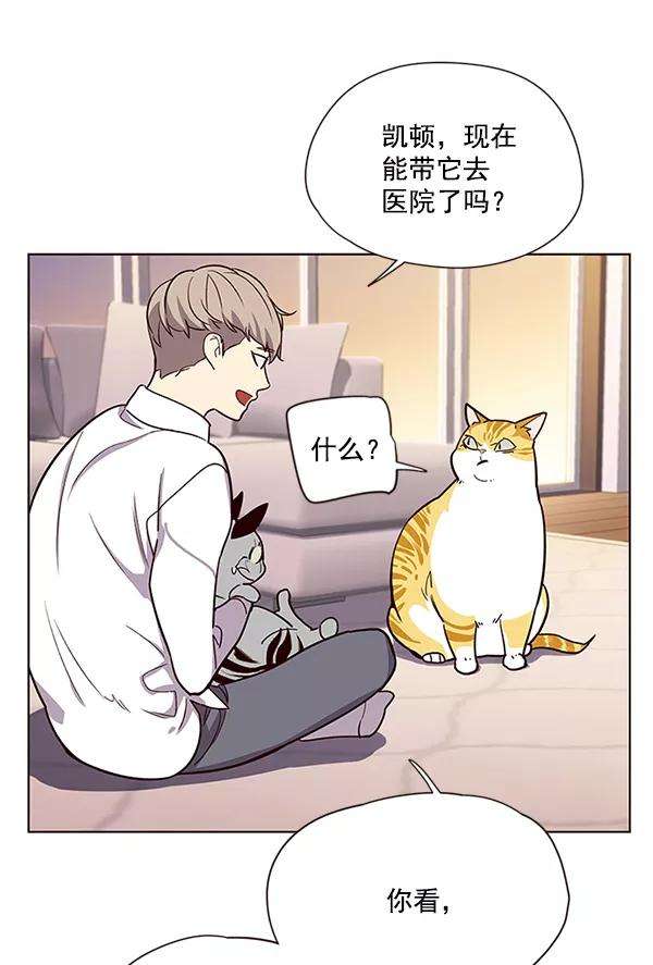 觉醒吧，铲屎官！10话