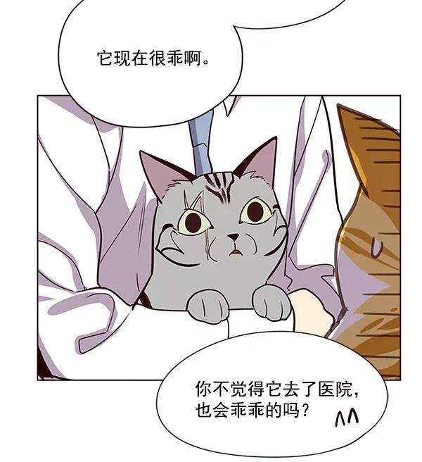 觉醒吧，铲屎官！10话