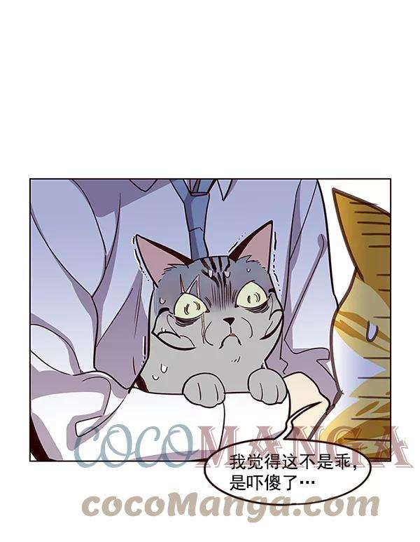 觉醒吧，铲屎官！10话