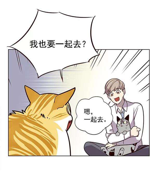 觉醒吧，铲屎官！10话
