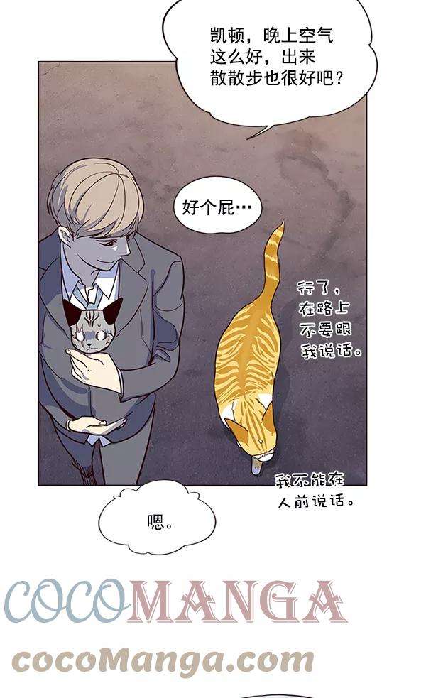 觉醒吧，铲屎官！10话