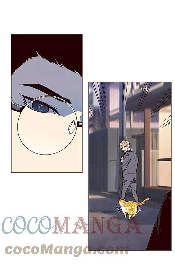 觉醒吧，铲屎官！10话