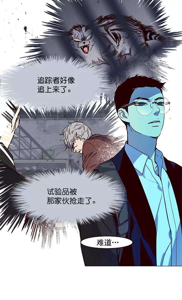 觉醒吧，铲屎官！10话