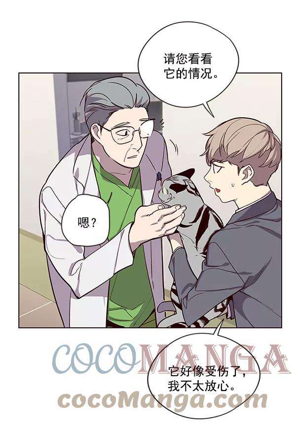 觉醒吧，铲屎官！10话
