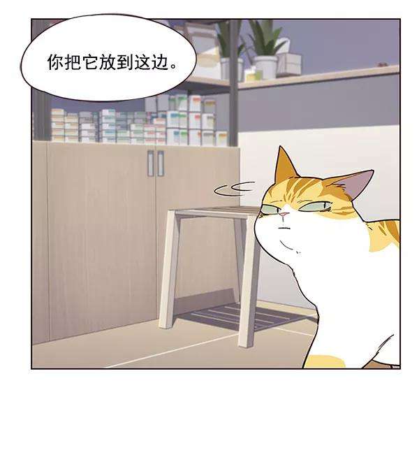 觉醒吧，铲屎官！10话