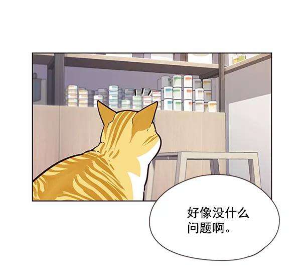 觉醒吧，铲屎官！10话