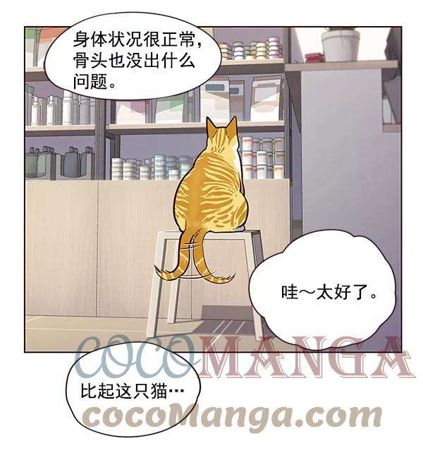 觉醒吧，铲屎官！10话