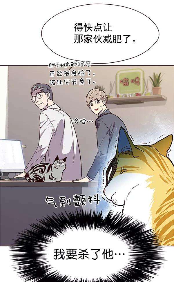 觉醒吧，铲屎官！10话