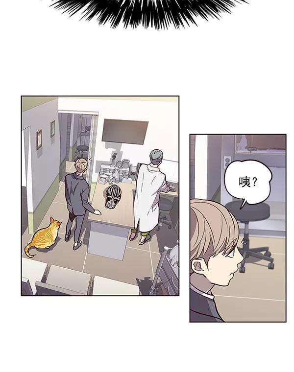 觉醒吧，铲屎官！10话